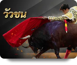 วัวชนออนไลน์